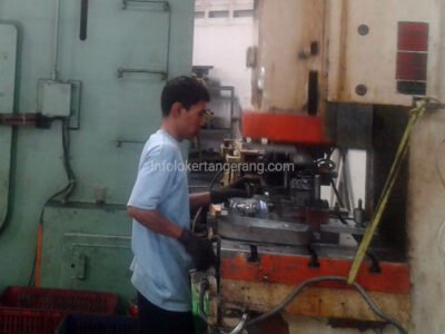 PT Bertindo Jaya Raya